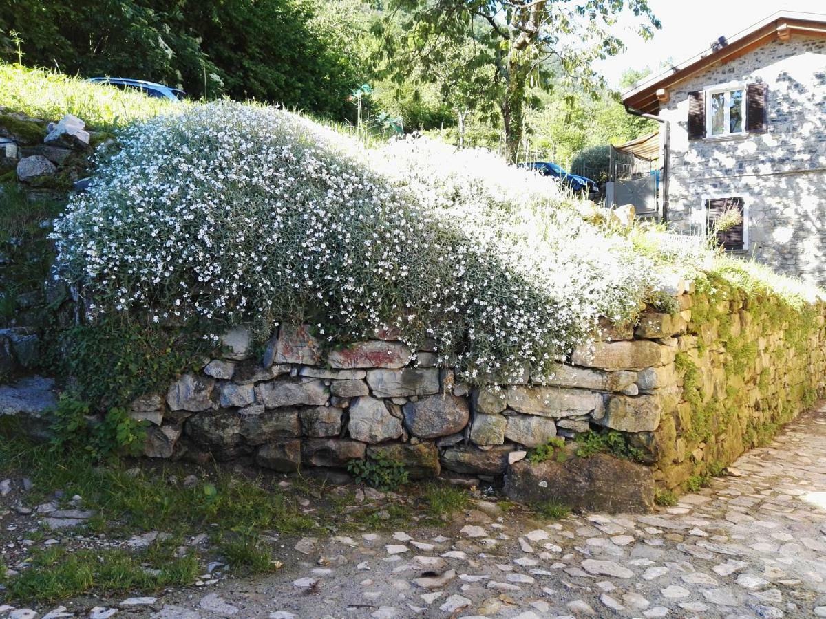 Ca' Eleonora Villa Lezzeno Exterior photo